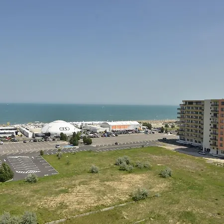 Summerland Happy Blue *