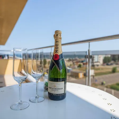 Summerland Happy Blue *